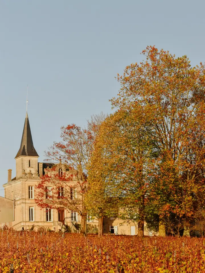 Le Château Colbert et ses vignes rougies par l’automne