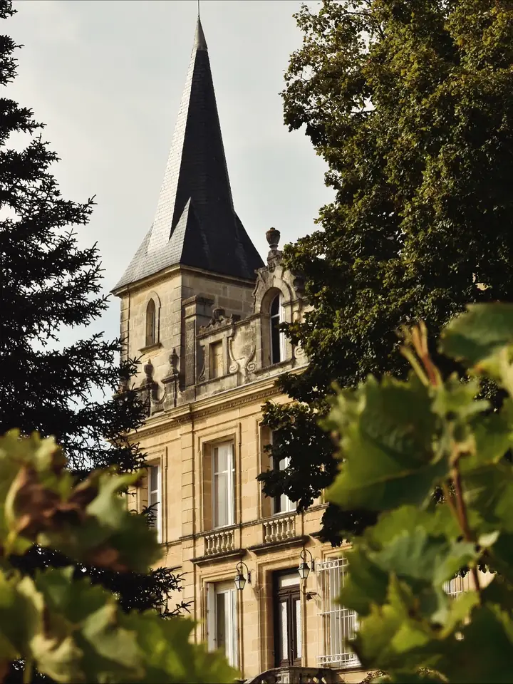 La flèche du château vue à travers les feuilles de vigne