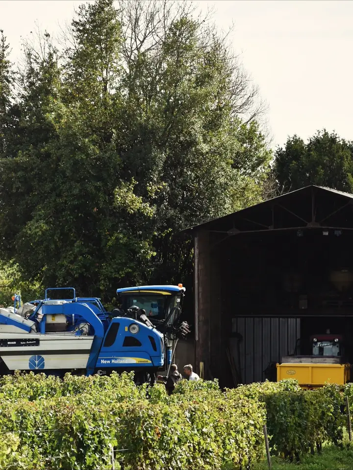 La machine à vendanger devant le hangar, au-dessus des vignes