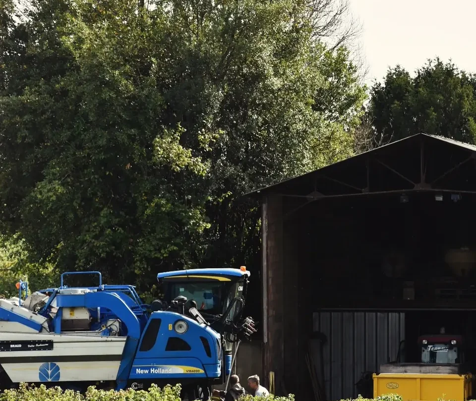 La machine à vendanger devant le hangar, au-dessus des vignes